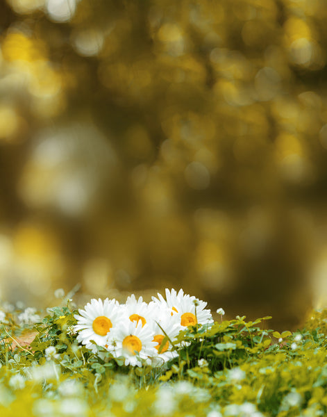 Digital Props 11x14 Backdrop Set - Clover & Daisies