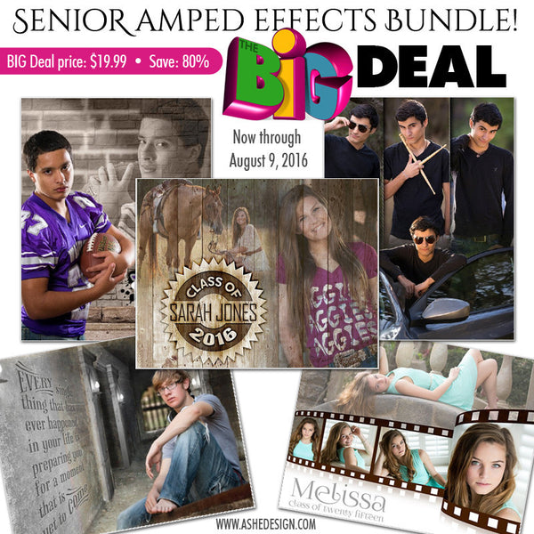 BIG DEAL Bundle - 8-9-16