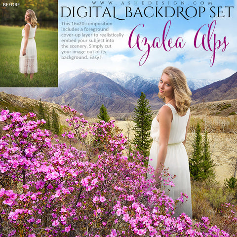 Ashe Design | Digital Backdrop Set | Azalea Alps