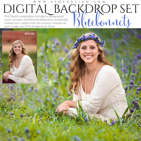 Ashe Design | Digital Backdrop Set | Bluebonnets