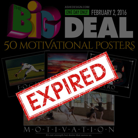 Ashe Design | BIG DEAL Feb 2, 2016 expired